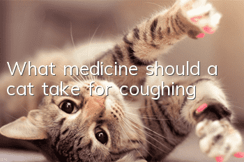 What medicine should a cat take for coughing?