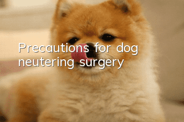Precautions for dog neutering surgery