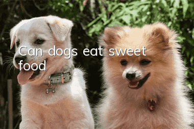 Can dogs eat sweet food?