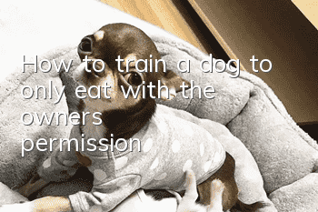 How to train a dog to only eat with the owner's permission?