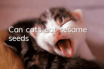 Can cats eat sesame seeds?