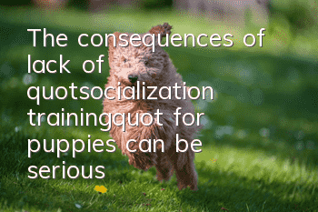 The consequences of lack of "socialization training" for puppies can be serious!