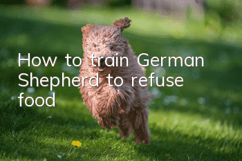 How to train German Shepherd to refuse food