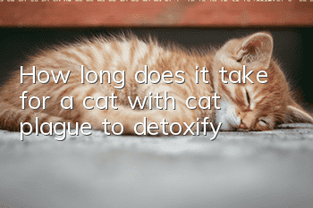 How long does it take for a cat with cat plague to detoxify?