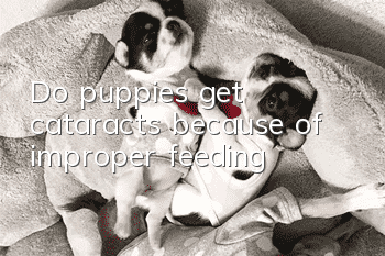 Do puppies get cataracts because of improper feeding?
