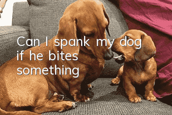 Can I spank my dog if he bites something?