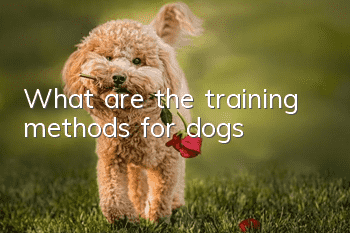 What are the training methods for dogs?
