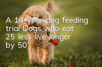 A 14-year dog feeding trial: Dogs who eat 25% less live longer by 50%