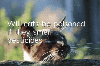 Will cats be poisoned if they smell pesticides?