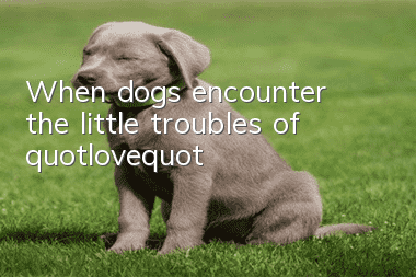 When dogs encounter the little troubles of "love"