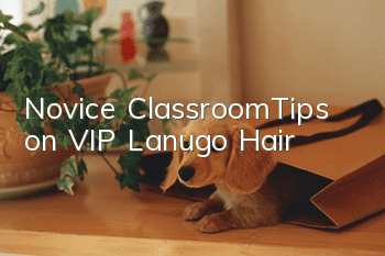 Novice Classroom|Tips on VIP Lanugo Hair