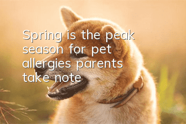 Spring is the peak season for pet allergies, parents take note!