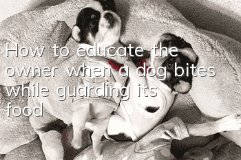 How to educate the owner when a dog bites while guarding its food