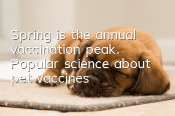 Spring is the annual vaccination peak. Popular science about pet vaccines