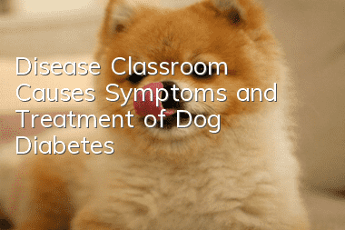 Disease Classroom | Causes, Symptoms and Treatment of Dog Diabetes
