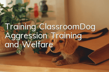 Training Classroom|Dog Aggression Training and Welfare