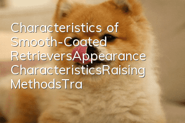 Characteristics of Smooth-Coated Retrievers_Appearance Characteristics_Raising Methods_Training_Price