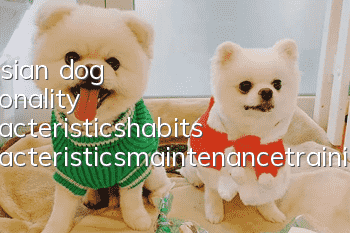 Eurasian dog personality characteristics_habits characteristics_maintenance_training