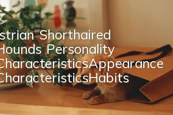 Istrian Shorthaired Hound’s Personality Characteristics_Appearance Characteristics_Habits_Raising