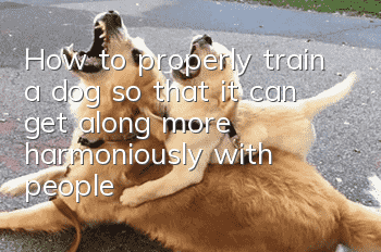 How to properly train a dog so that it can get along more harmoniously with people?