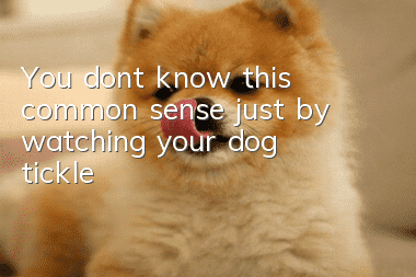 You don’t know this common sense just by watching your dog tickle!