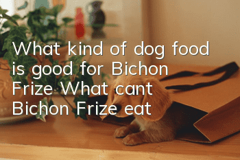 What kind of dog food is good for Bichon Frize? What can’t Bichon Frize eat?