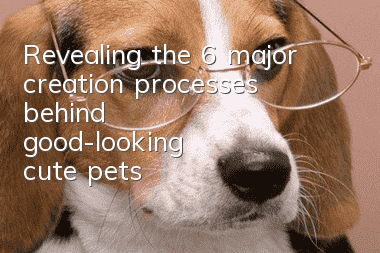 Revealing the 6 major creation processes behind “good-looking” cute pets