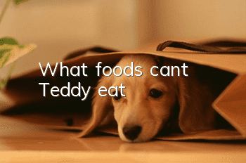 What foods can’t Teddy eat?
