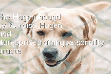 Is the Hagen hound easy to raise? Hagen hound pictures_price_training_personality characteristics