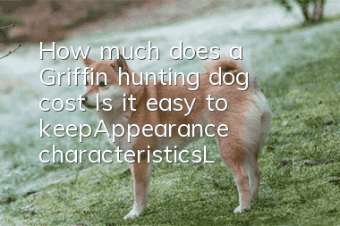How much does a Griffin hunting dog cost? Is it easy to keep?_Appearance characteristics_Living habits