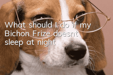 What should I do if my Bichon Frize doesn’t sleep at night?