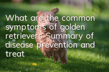What are the common symptoms of golden retrievers? Summary of disease prevention and treatment for golden retriever dogs