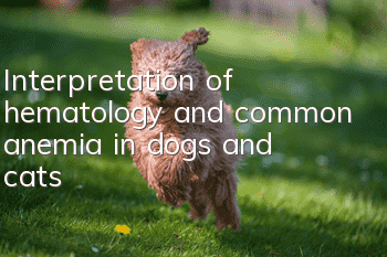 Interpretation of hematology and common anemia in dogs and cats
