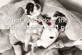 What foods does the German Shepherd not eat?