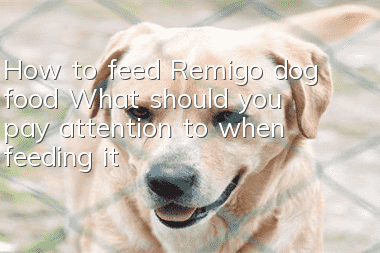 How to feed Remigo dog food? What should you pay attention to when feeding it?