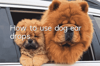 How to use dog ear drops