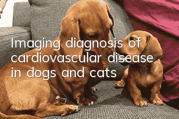 Imaging diagnosis of cardiovascular disease in dogs and cats