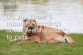 Do you know 6 misunderstandings about feeding snacks to pets?