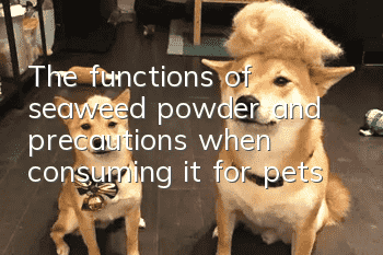 The functions of seaweed powder and precautions when consuming it for pets