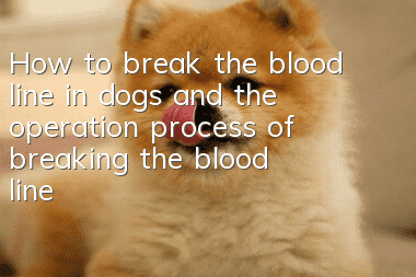 How to break the blood line in dogs and the operation process of breaking the blood line