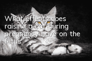 What effects does raising a cat during pregnancy have on the fetus?