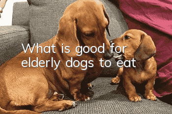 What is good for elderly dogs to eat?