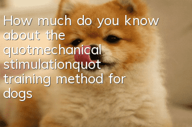 How much do you know about the "mechanical stimulation" training method for dogs?