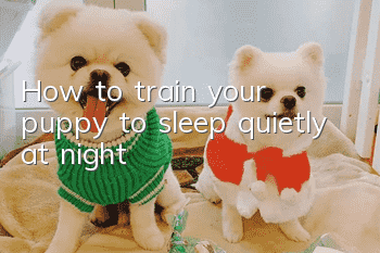 How to train your puppy to sleep quietly at night