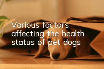 Various factors affecting the health status of pet dogs