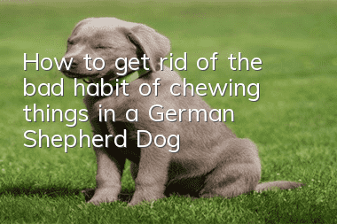 How to get rid of the bad habit of chewing things in a German Shepherd Dog