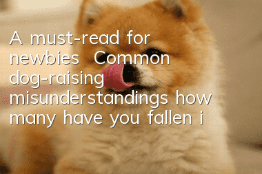 A must-read for newbies | Common dog-raising misunderstandings, how many have you fallen into?