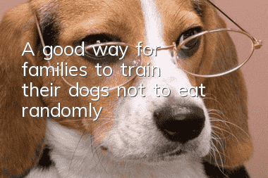 A good way for families to train their dogs not to eat randomly