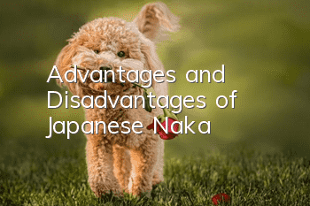Advantages and Disadvantages of Japanese Naka