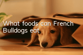 What foods can French Bulldogs eat?